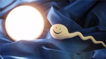 安孕冻胚移植专科